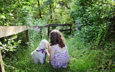 Perros y niños, una relación muy especial